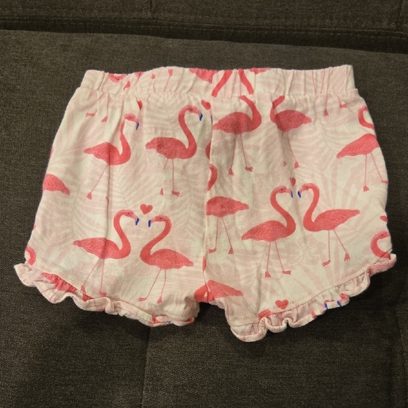 Flamingo Print & Pink Short Set - Picture 3 of 5